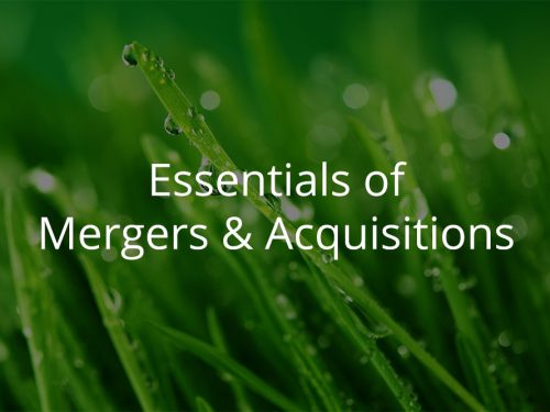 Essentials of Mergers & Acquisitions Module